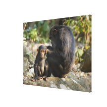 Mahale berg nationalpark, Tanzania Kanvastryck