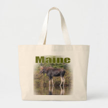 Maine älg kasse