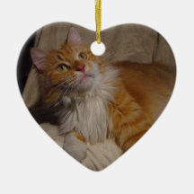 Maine Coon, prydnad Juldekoration