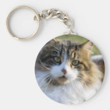 Maine Coonkatt Nyckelring
