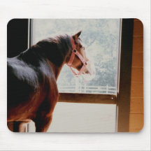 Majestätiska Clydesdale Mus Matta
