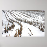 Majfält i snöfototrycket print