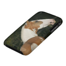 Måla hästHeadshot 2 Case-Mate iPhone 3 Cases