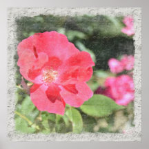 Målad rosa blommigtträdgårdaffisch