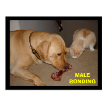 Male bindning vykort