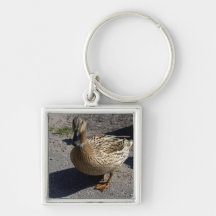 Mallard Key Chain