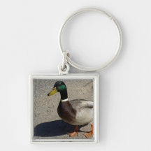 Mallard Key Chains