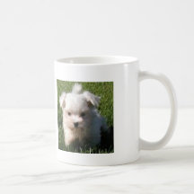 maltese valpar kaffe kopp