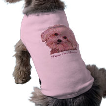 Maltesisk "äng" målning på hundkläder hund tee shirt