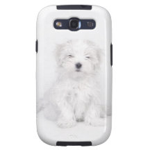 Maltesisk hundvalp samsung galaxy s3 skal