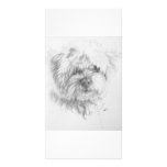 Maltipoo Fotokort Mall