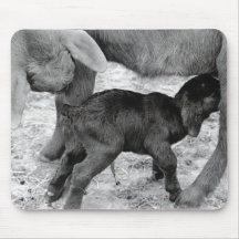 Mamma- & babyget mus mattor