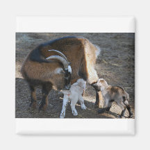 Mamma och babyar kylskåpsnagnet