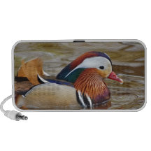 Manadarin-duck-on-water107 Notebook Högtalare