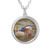 Manadarin-duck-on-water107 Personliga Halsband