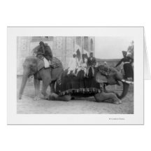 Manar som rider elefanter i Indien PhotographIndia Kort