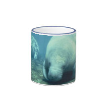 Manatee Muggar