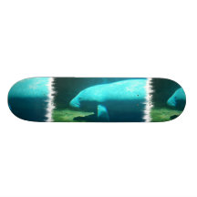ManateesimningSkateboard