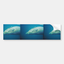 Manateesträckning Bildekal