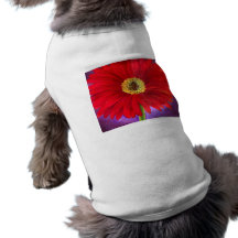 Mång- röd konst för målning för daisyGerber blomma Hund Kläder