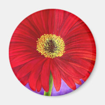 Mång- röd konst för målning för daisyGerber blomma Magnet För Kylskåp