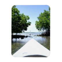 Mangrovepassage Vinyl Magnet