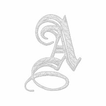 Märka den utsmyckade monogramen broderad skjorta