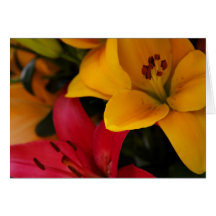 Marknadsföra blommor II Kort