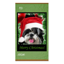 Märkre för julShih Tzu gåva Visitkort