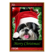 Märkre för julShih Tzu gåva Visitkort Mall