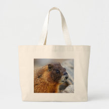 Marmot Kassar