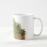 Mary Mary… Mugg