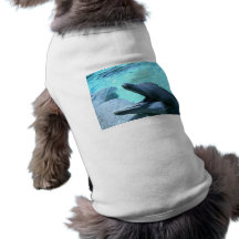 maryskamerabilder 07 113 hund t-shirt