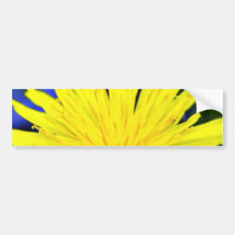 Maskros i blommar bildekal