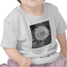 Maskros väck som ska kärnas ur tee