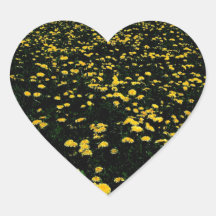 maskrosblommaberg hjärtformade klistermärken