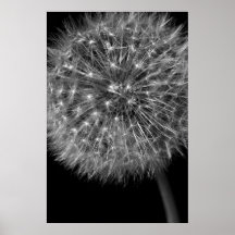 Maskrosen kärnar ur huvudet print