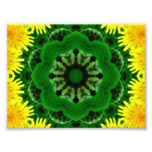 MaskrosKaleidoscopeMandala Fotontryck