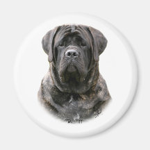 Mastiff Kylskåpmagneter