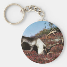 Mata för Caribou Nyckelring