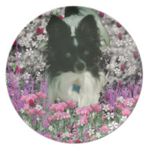 Matisse i blommor - vit & svart Papillon hund Fest Tallrikar