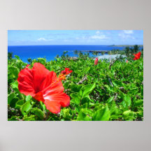 Maui blommor affischer