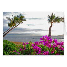 Maui strandkort