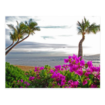 Maui strandvykort