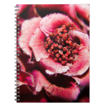 Mauve blomma antecknings böcker