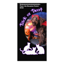 Max Halloween - LabraDoodle - Fotokort