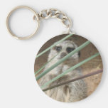Meerkat kika nyckelring
