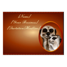 Meerkat kopplar ihop profilecard_chubby_horizontal visit kort