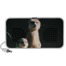 Meerkat vänklotter iPhone speakers