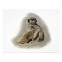 Meerkats Unika Inbjudningar
